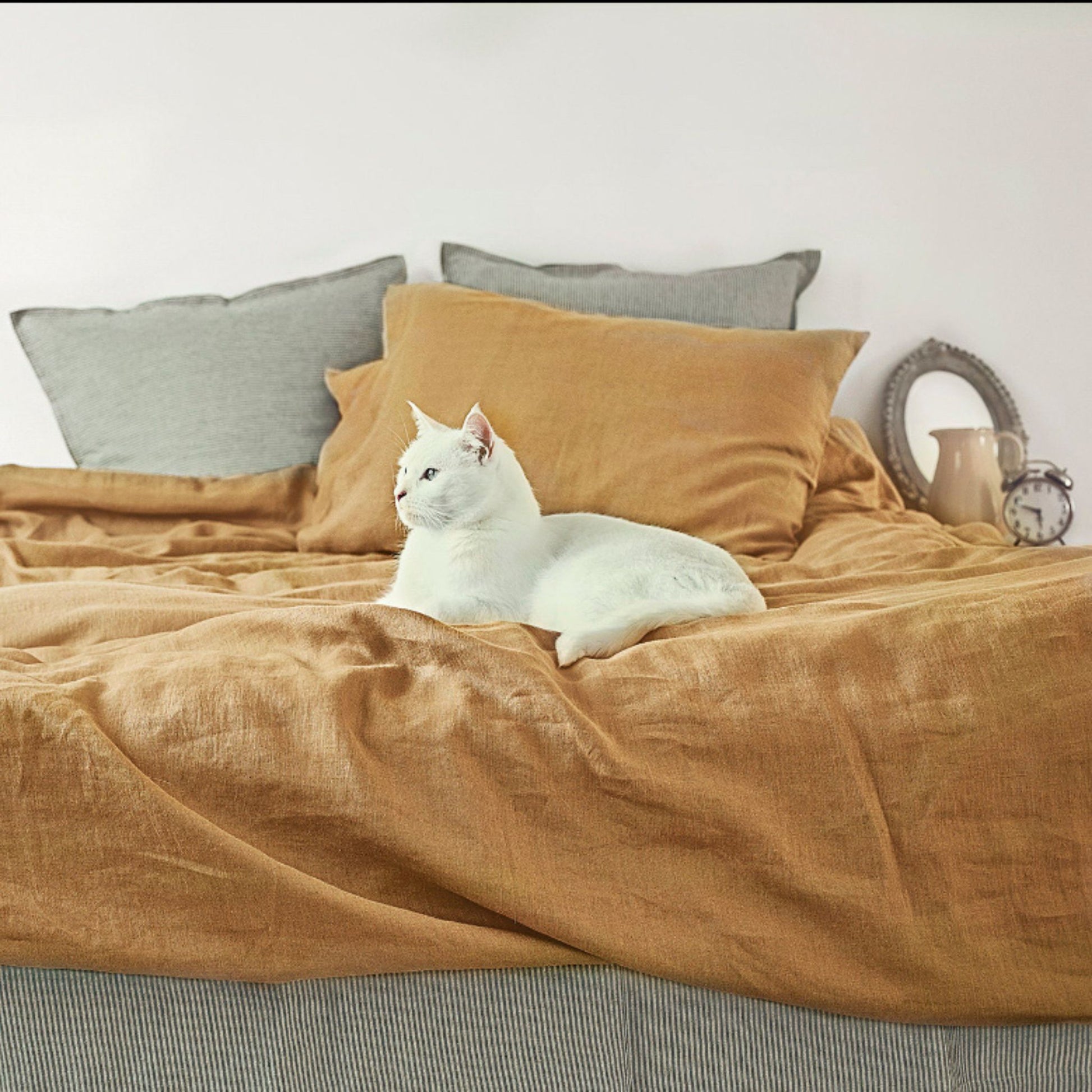 White cat lying on mustard color linen bedding with striped linen gray pillow cases in the background